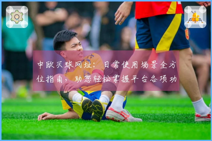 中欧买球网址：日常使用场景全方位指南，助您轻松掌握平台各项功能