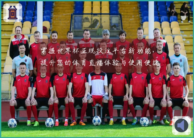 掌握世界杯正规投注平台新功能，提升您的体育直播体验与使用便捷性