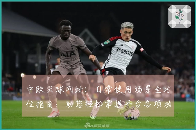 中欧买球网址：日常使用场景全方位指南，助您轻松掌握平台各项功能